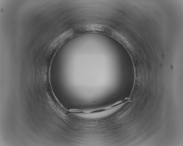 X0000083620402200702260959