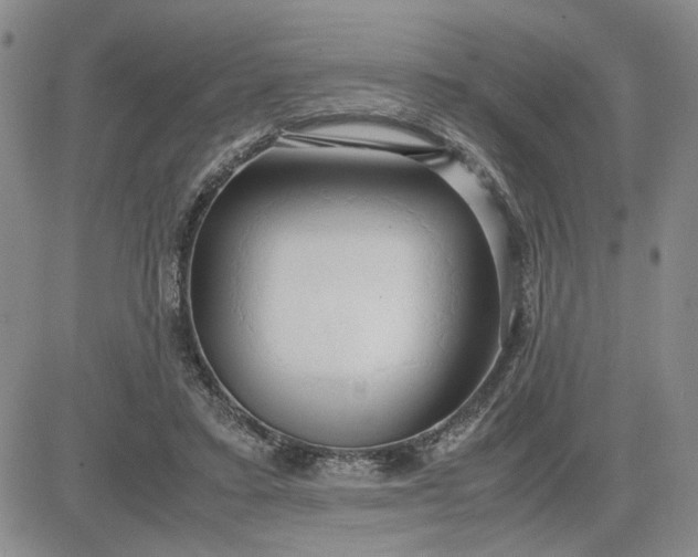 X0000083620403200702260959