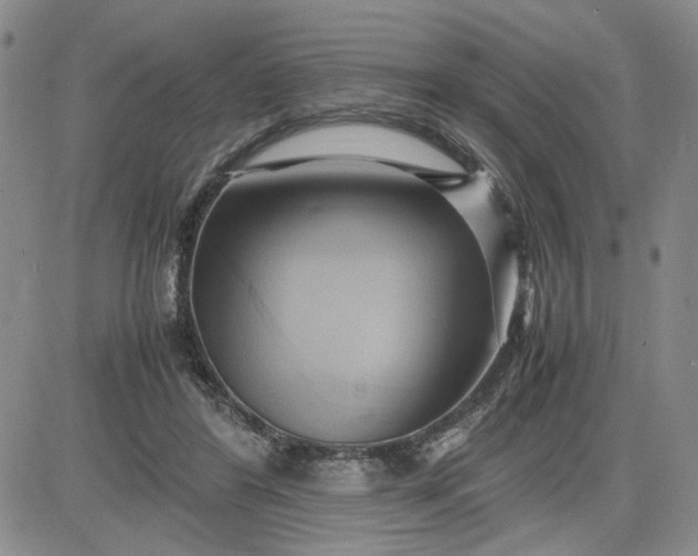 X0000083620404200702260958