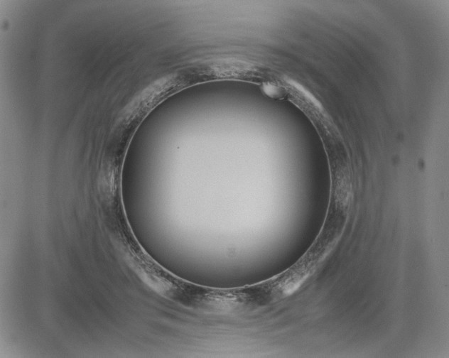 X0000083620405200702260958