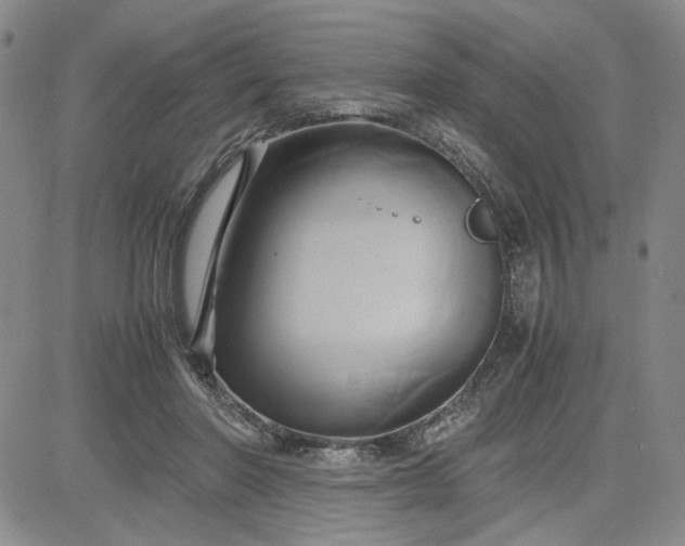 X0000083620406200702260958