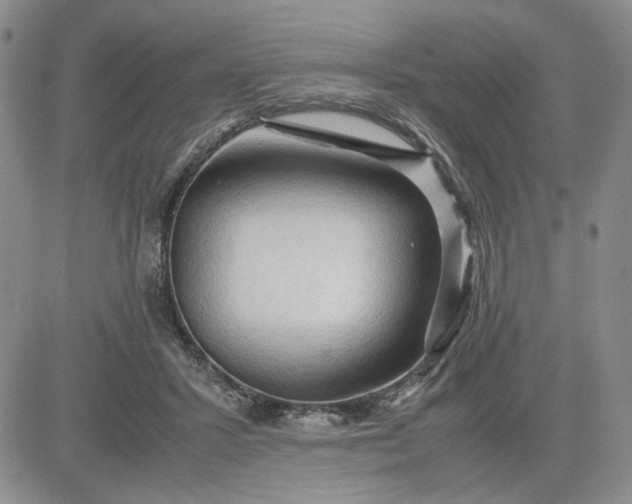 X0000083620407200702260958