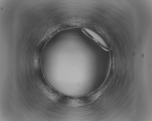 X0000083620408200702260958