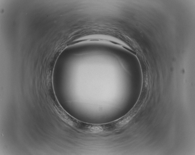 X0000083620409200702260958