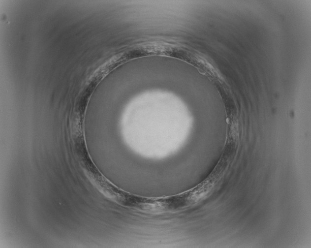 X0000083620411200702260958