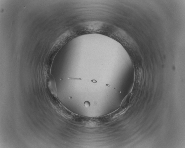 X0000083620412200702260958