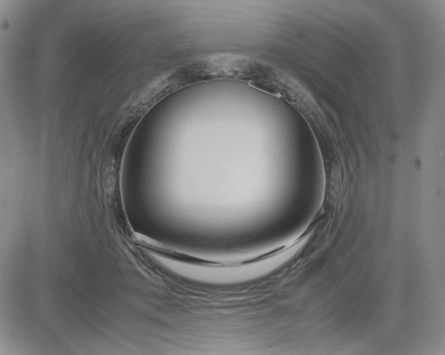 X0000083620413200702260958