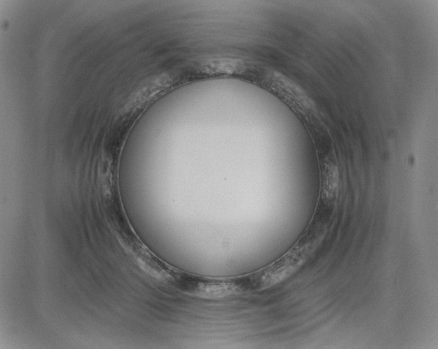 X0000083620414200702260958