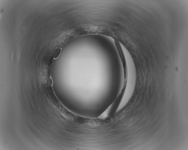 X0000083620416200702260958