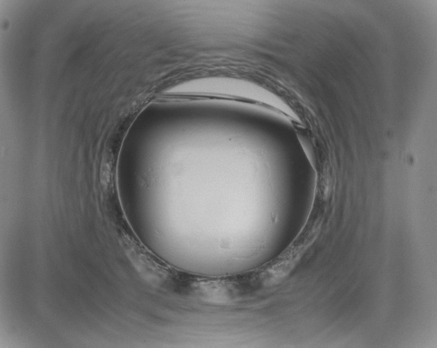 X0000083620417200702260958