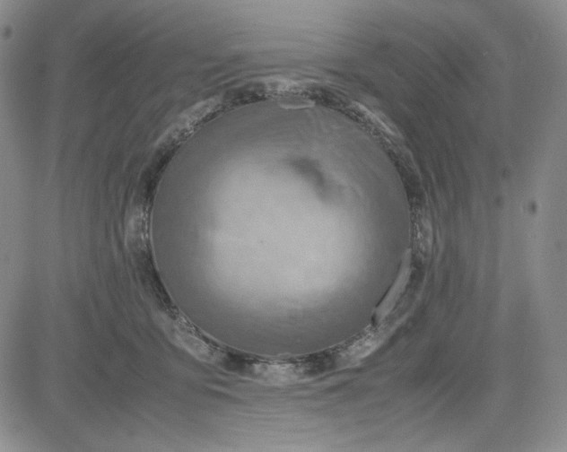 X0000083620419200702260958