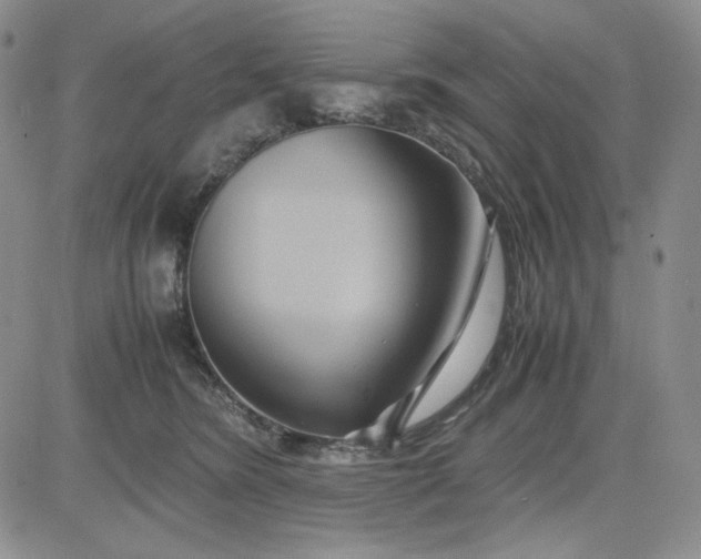 X0000083620420200702260958