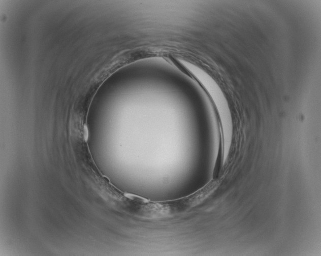 X0000083620421200702260958