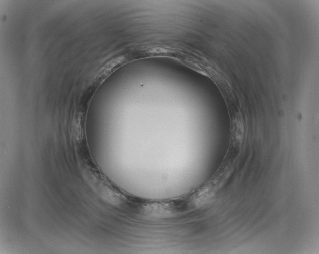 X0000083620422200702260958