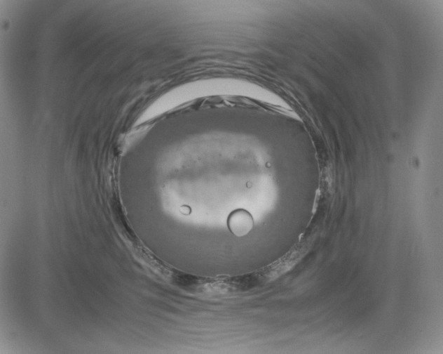 X0000083620423200702260958