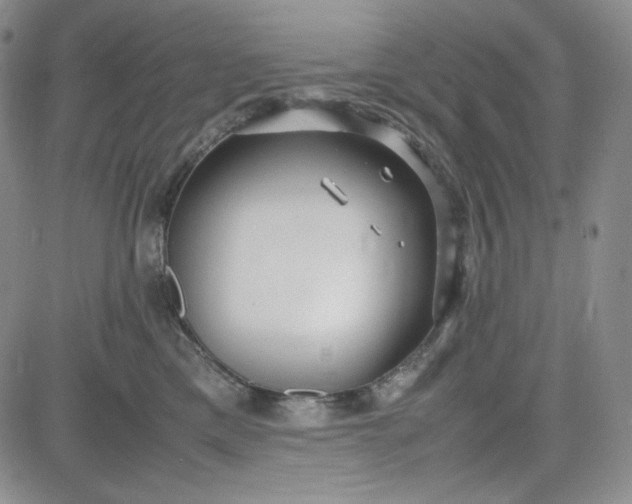 X0000083620425200702260958