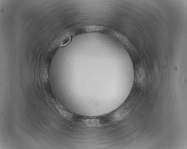 X0000083620426200702260958