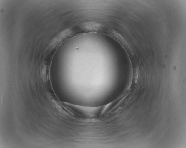 X0000083620428200702260958