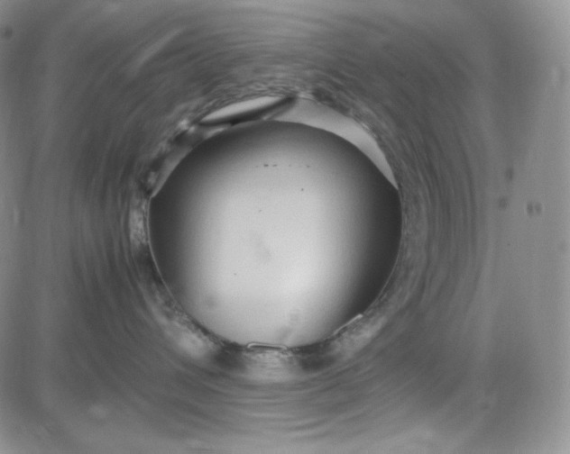 X0000083620432200702260958