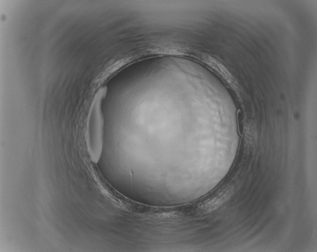 X0000083620433200702260957