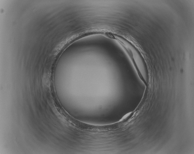 X0000083620434200702260957