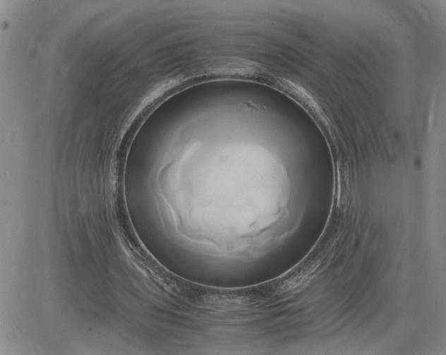 X0000083620435200702260957