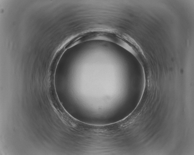 X0000083620436200702260957