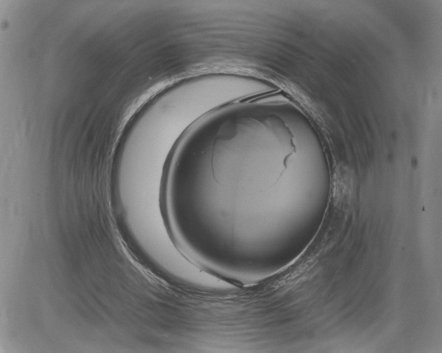 X0000083620438200702260957