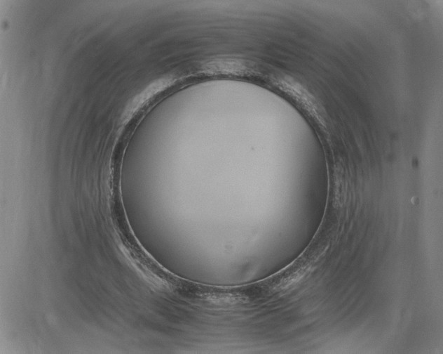 X0000083620439200702260957