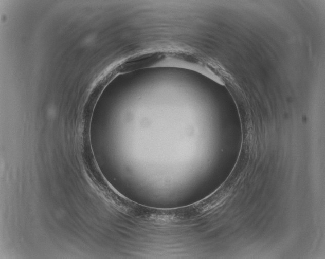 X0000083620440200702260957