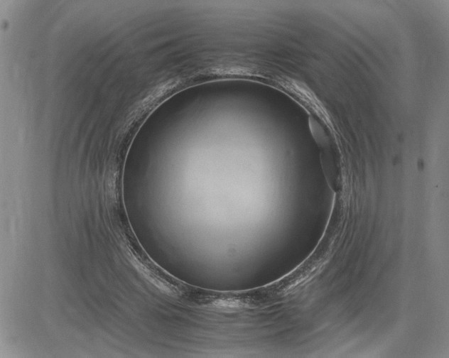 X0000083620441200702260957