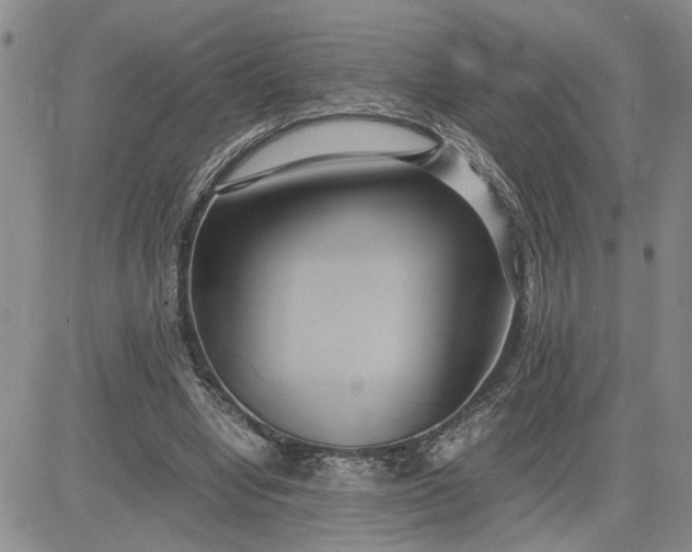 X0000083620442200702260957