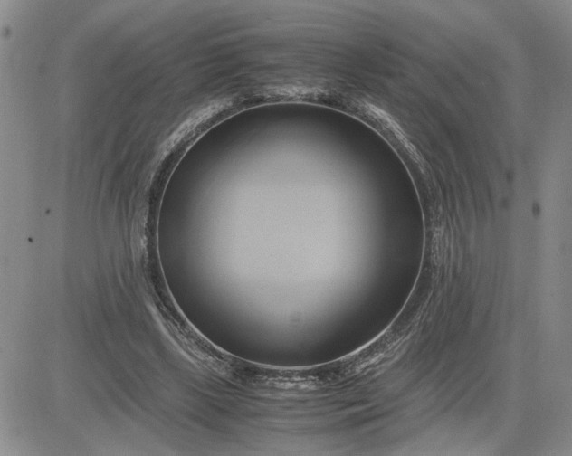 X0000083620443200702260957