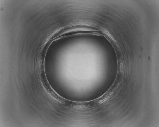 X0000083620444200702260957