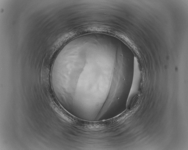 X0000083620445200702260957