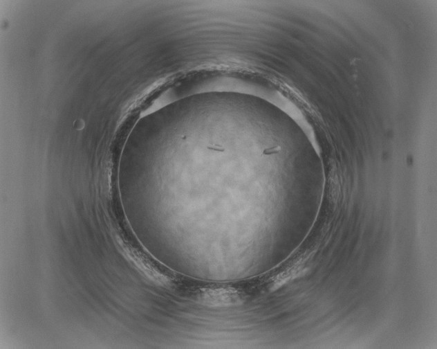 X0000083620446200702260957