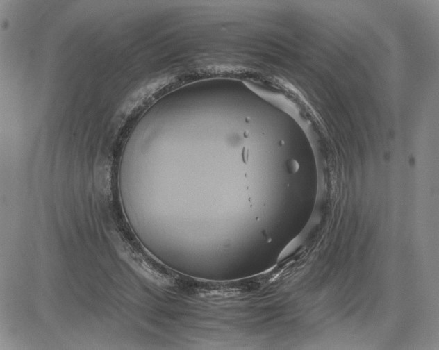 X0000083620447200702260957