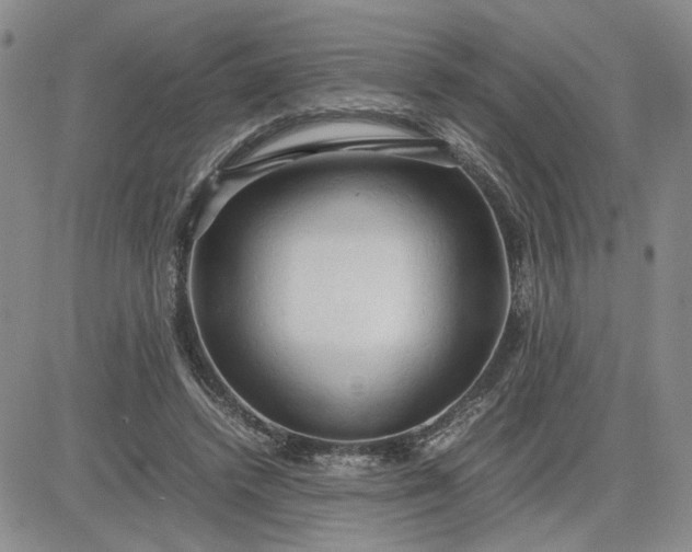 X0000083620448200702260957