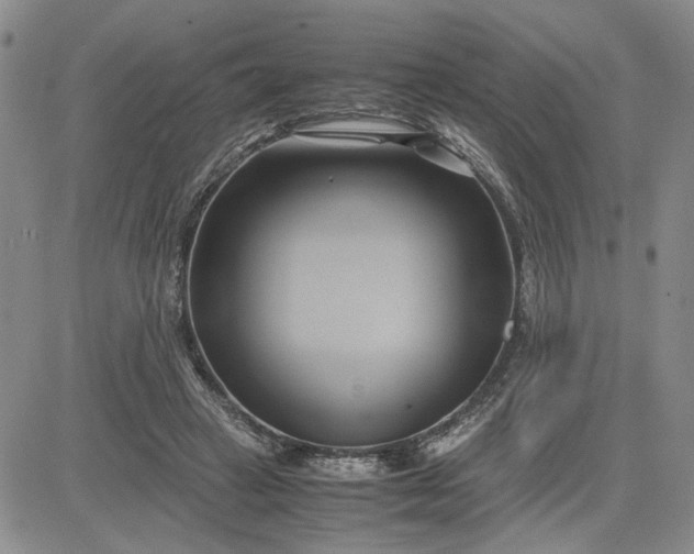 X0000083620449200702260957