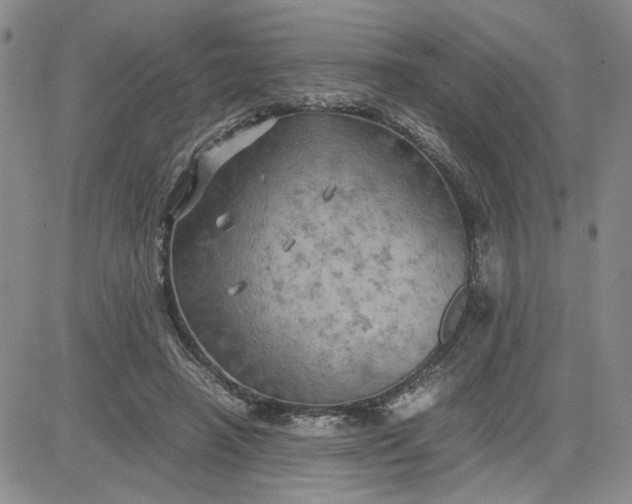 X0000083620450200702260957