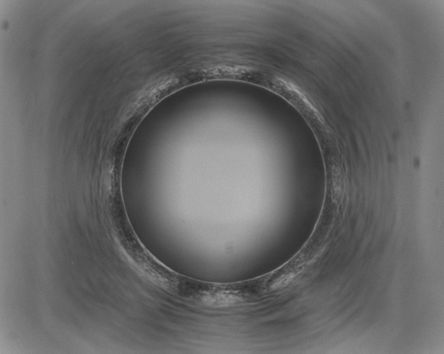 X0000083620451200702260958