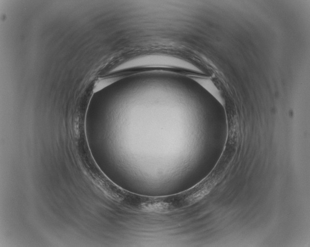 X0000083620452200702260958