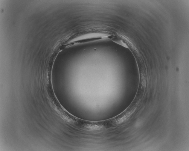 X0000083620453200702260958