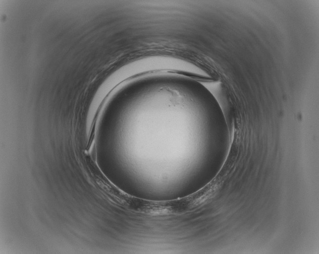 X0000083620456200702260958