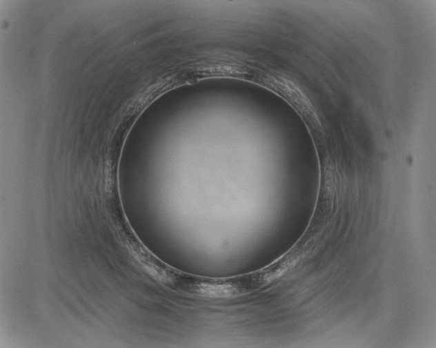 X0000083620457200702260958