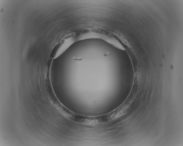 X0000083620458200702260958