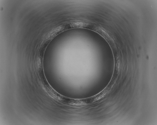 X0000083620459200702260958