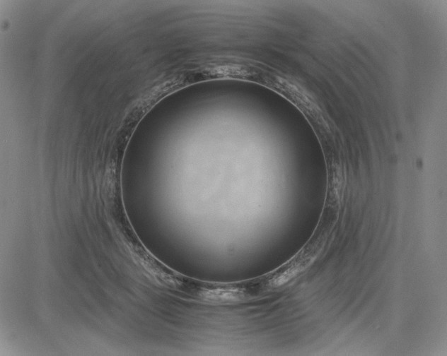 X0000083620461200702260958