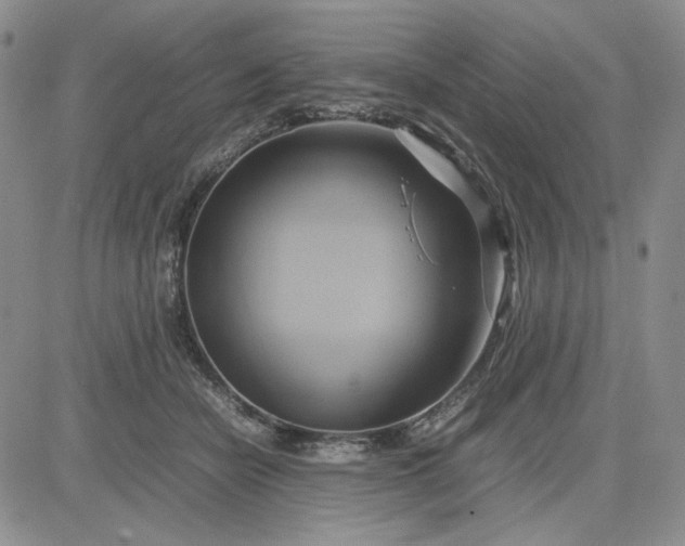 X0000083620462200702260958