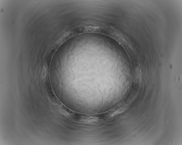 X0000083620463200702260958